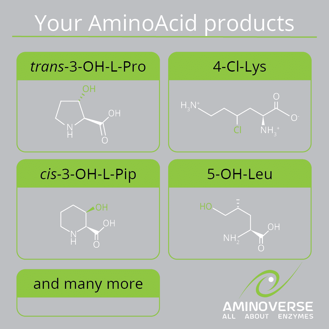 AminoAcid KGO Enzyme Panel for hydroxylation of canonical and non-canonical amino acids