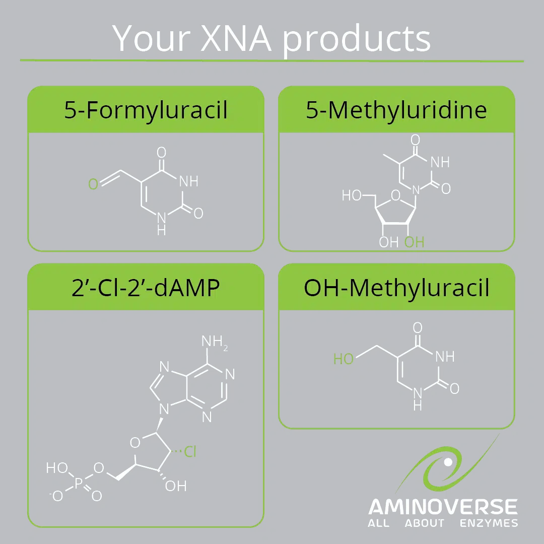 XNA KGO Enzyme Panel for functionalization of DNA, RNA, and their derivatives